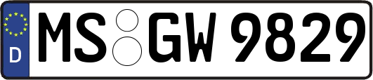 MS-GW9829