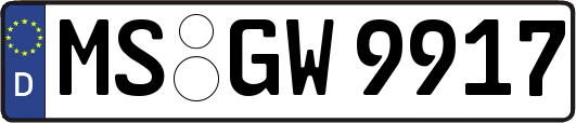 MS-GW9917