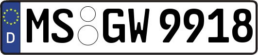 MS-GW9918