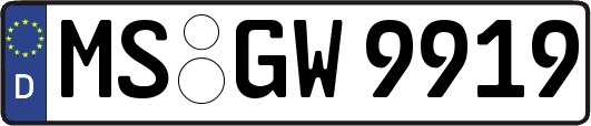 MS-GW9919