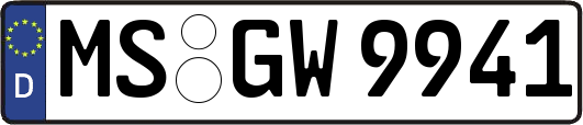 MS-GW9941