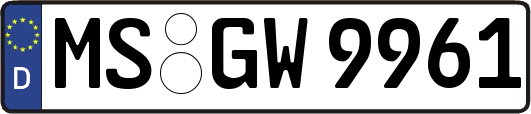 MS-GW9961