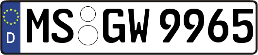 MS-GW9965