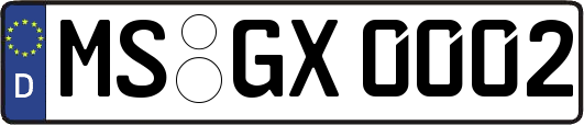 MS-GX0002