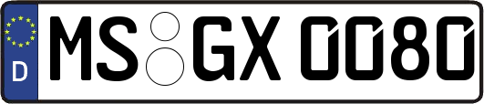 MS-GX0080