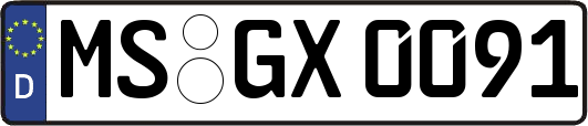MS-GX0091