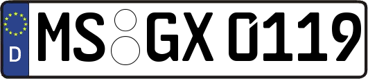 MS-GX0119
