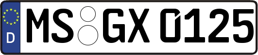 MS-GX0125