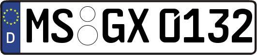 MS-GX0132