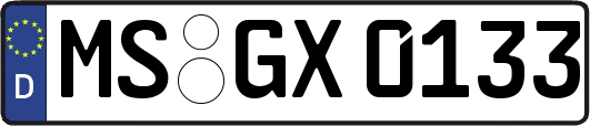 MS-GX0133