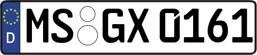 MS-GX0161