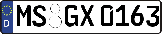 MS-GX0163