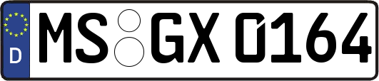 MS-GX0164