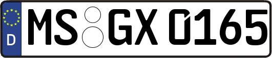 MS-GX0165