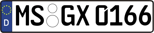 MS-GX0166
