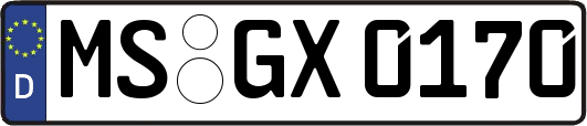MS-GX0170