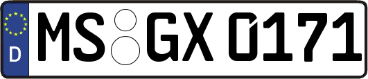 MS-GX0171