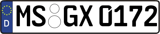MS-GX0172