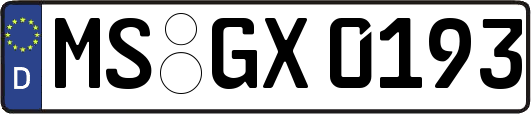 MS-GX0193