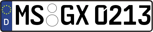 MS-GX0213