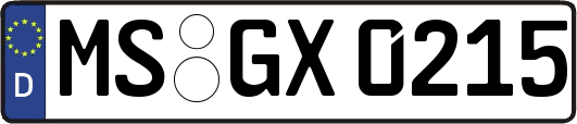 MS-GX0215