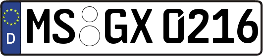 MS-GX0216