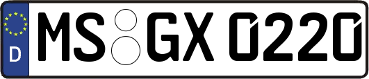 MS-GX0220