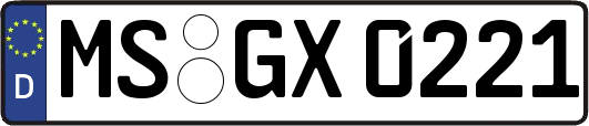 MS-GX0221