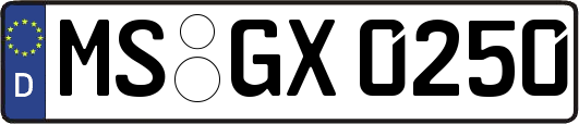 MS-GX0250