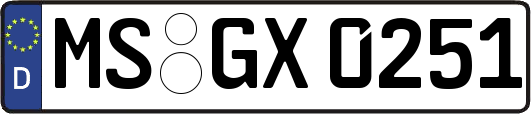 MS-GX0251