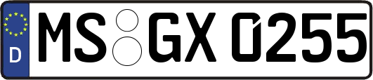MS-GX0255