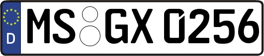 MS-GX0256