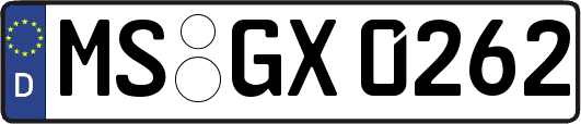 MS-GX0262