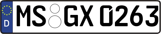 MS-GX0263