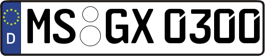 MS-GX0300