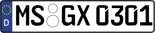 MS-GX0301