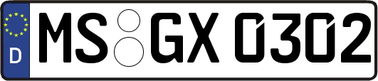 MS-GX0302