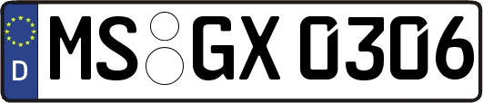 MS-GX0306