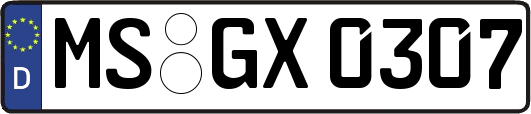MS-GX0307