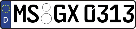 MS-GX0313