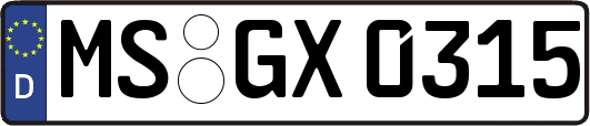 MS-GX0315