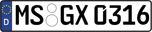 MS-GX0316