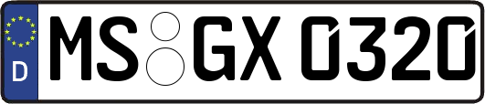 MS-GX0320