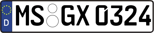 MS-GX0324