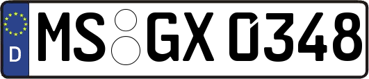 MS-GX0348