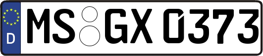 MS-GX0373