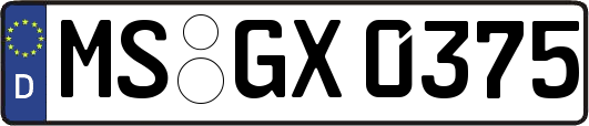 MS-GX0375