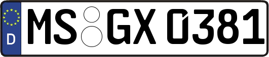 MS-GX0381