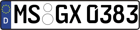 MS-GX0383