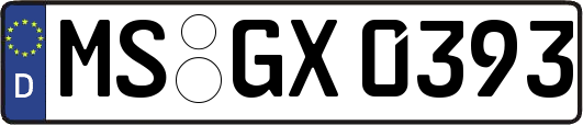 MS-GX0393